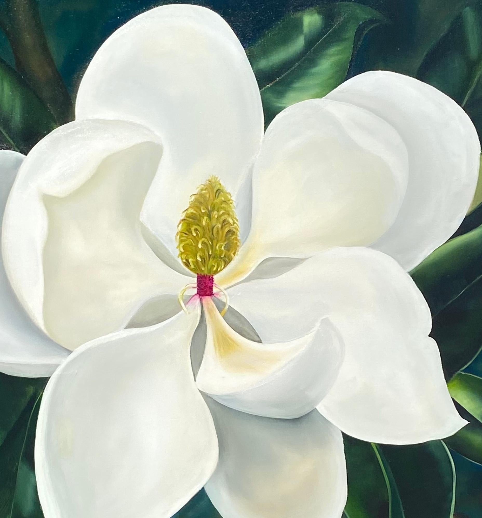 Magnolia iluminada por la luna
Susan Meeks
óleo sobre lienzo
36