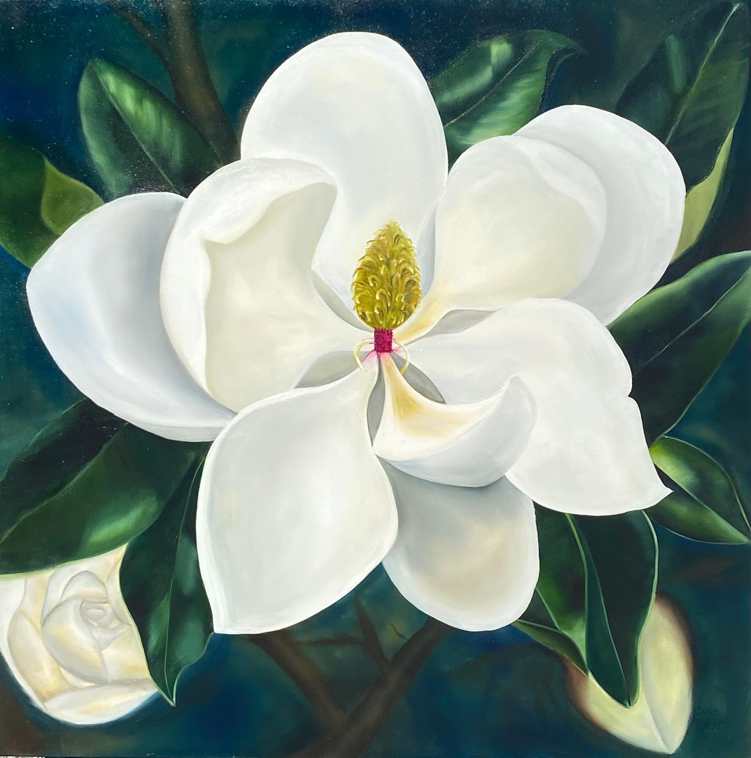 Magnolia al chiaro di luna  Realismo 36" x 36"  Olio su tela  Avvolto in galleria   Floreale