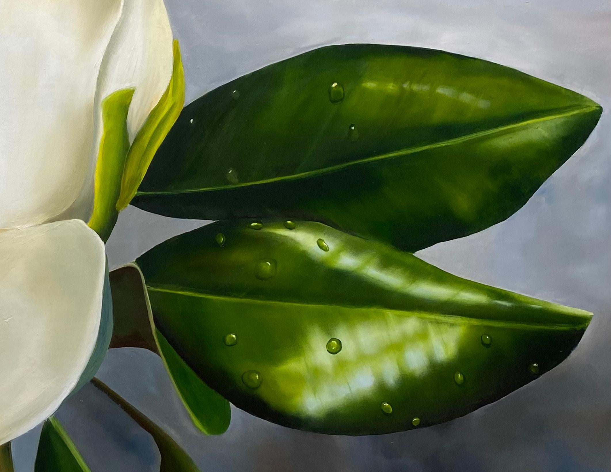 Rain Drops on the Magnolia   Realism 24 x 36 Oil  Canvas  Floral Painting For Sale 1