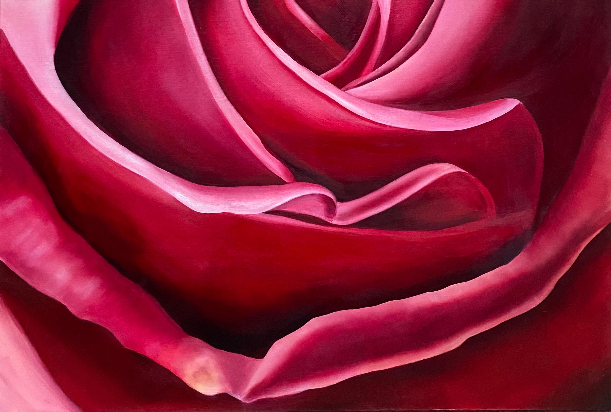 Rose  Realism Oil on Canvas    Gallery Wrapped Floral 54 x 44  Valentines - Red Still-Life Painting by Susan Meeks
