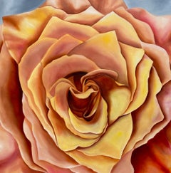 Siena Vertigo Rose  Realismus 36" x 36"  Öl auf Leinwand  Gallery Wrapped   Blumen