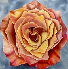 Sienna Vertigo Rose  Realism 36" x 36"  Oil on Canvas  Gallery Wrapped   Floral