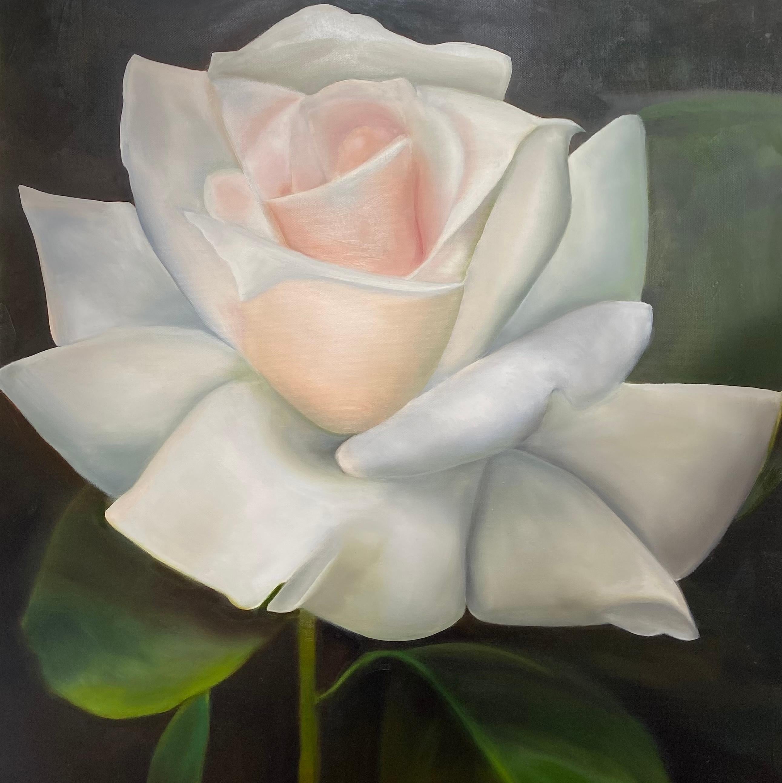 Einzelne weiße Rose Realismus 40