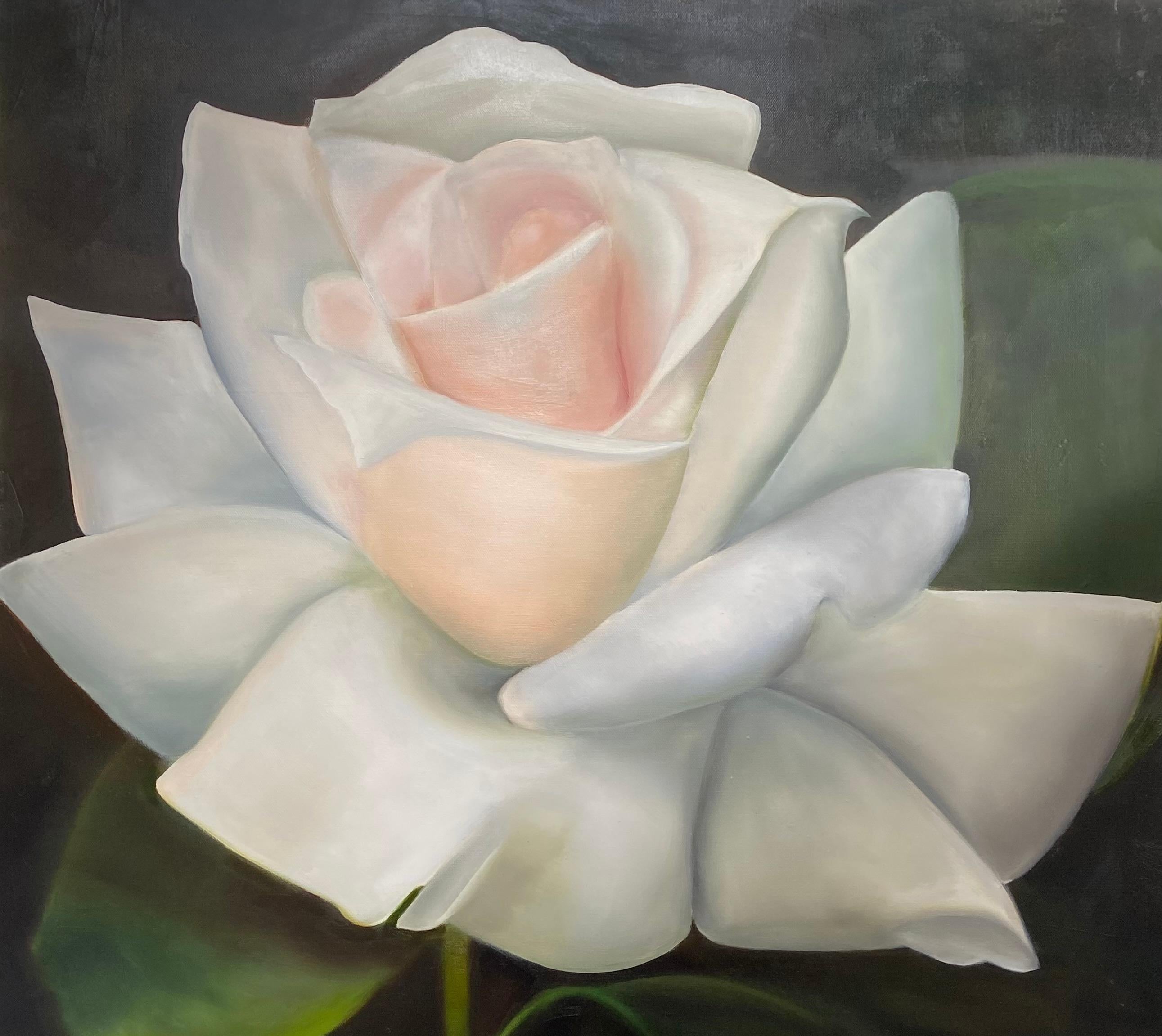 Einzelne weiße Rose Realismus 40