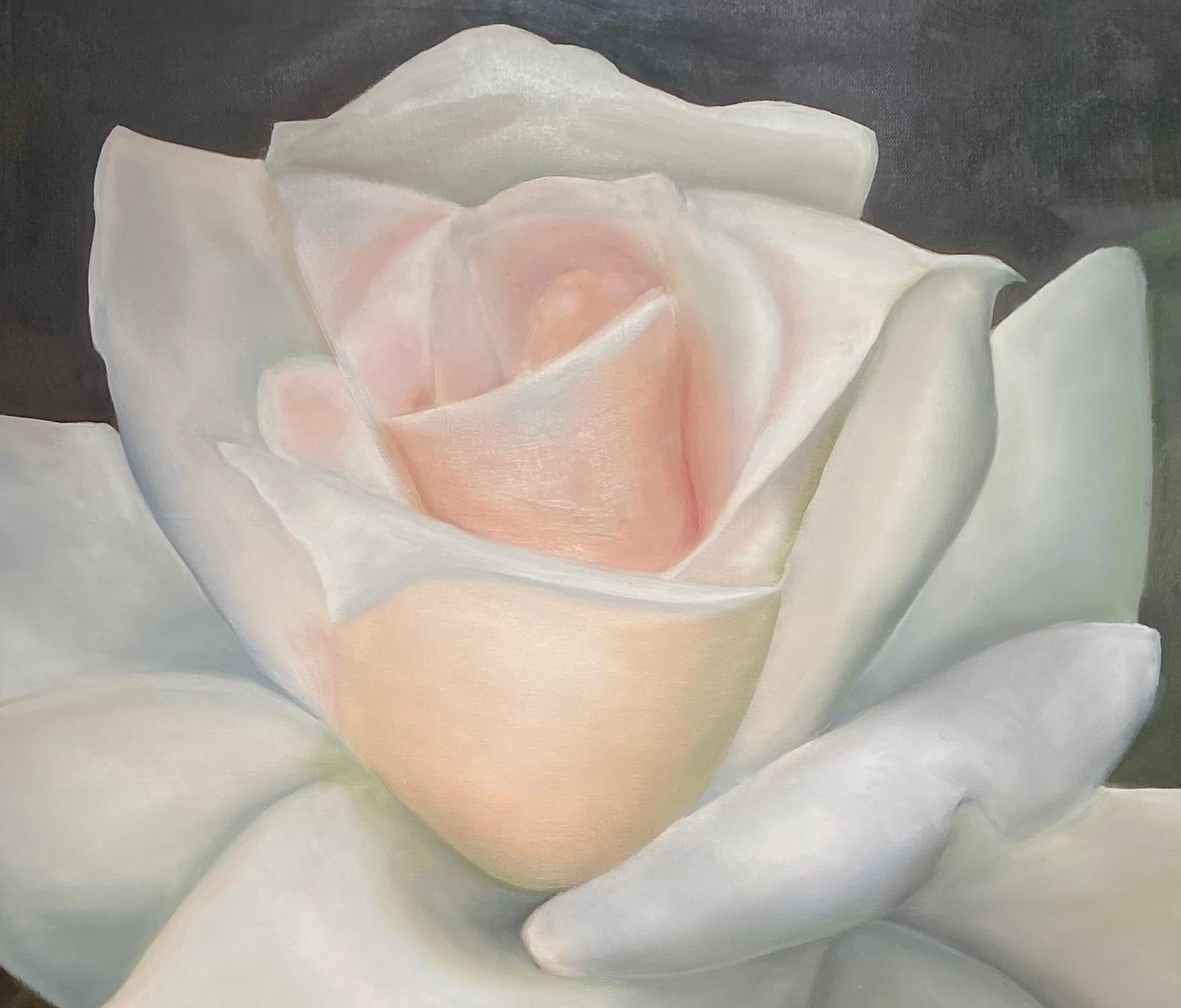  Einzelne weiße Rose Realismus 40