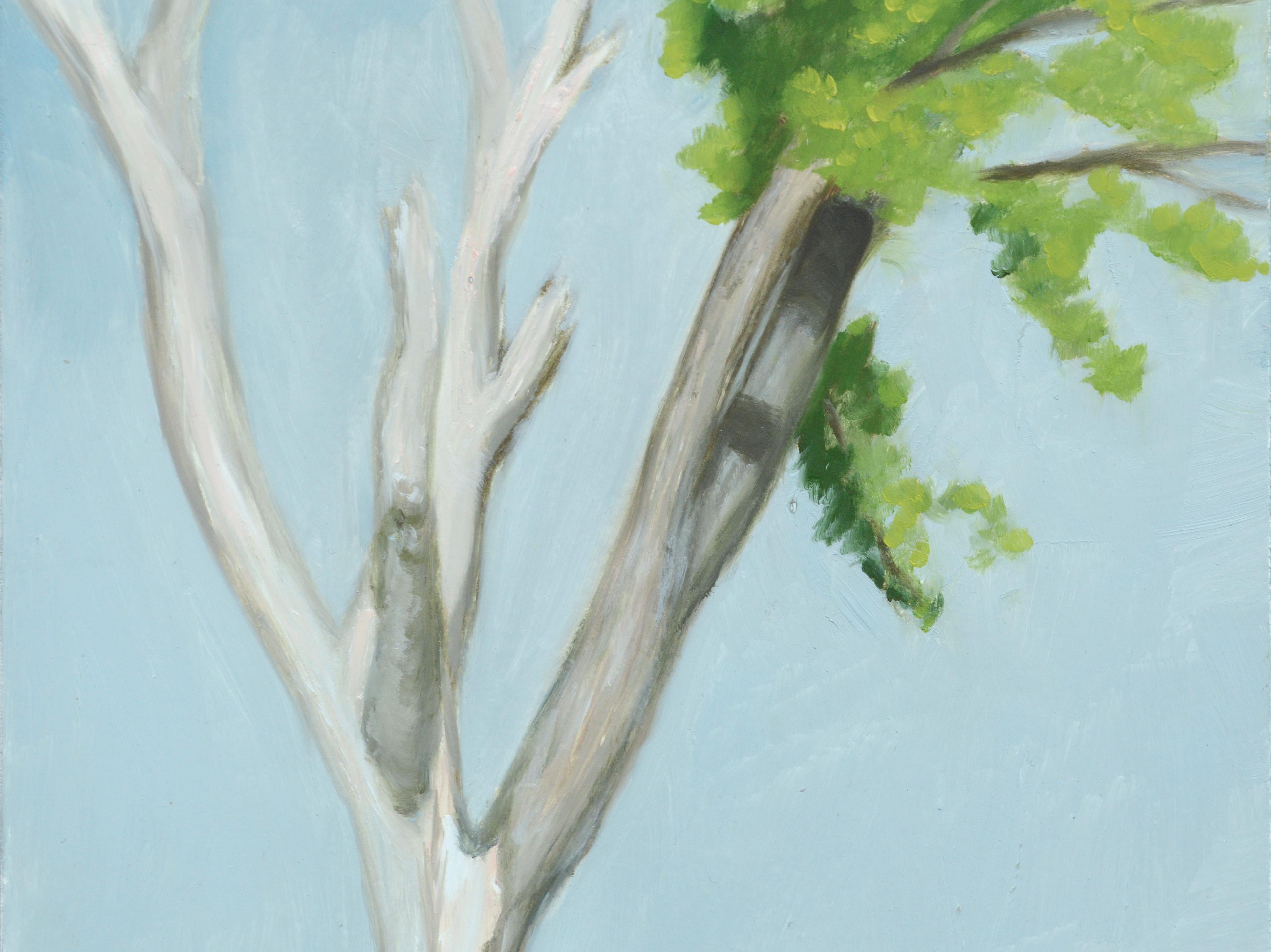 Árbol a la orilla del río - Paisaje al óleo sobre masonita - Painting de Susan Reinier
