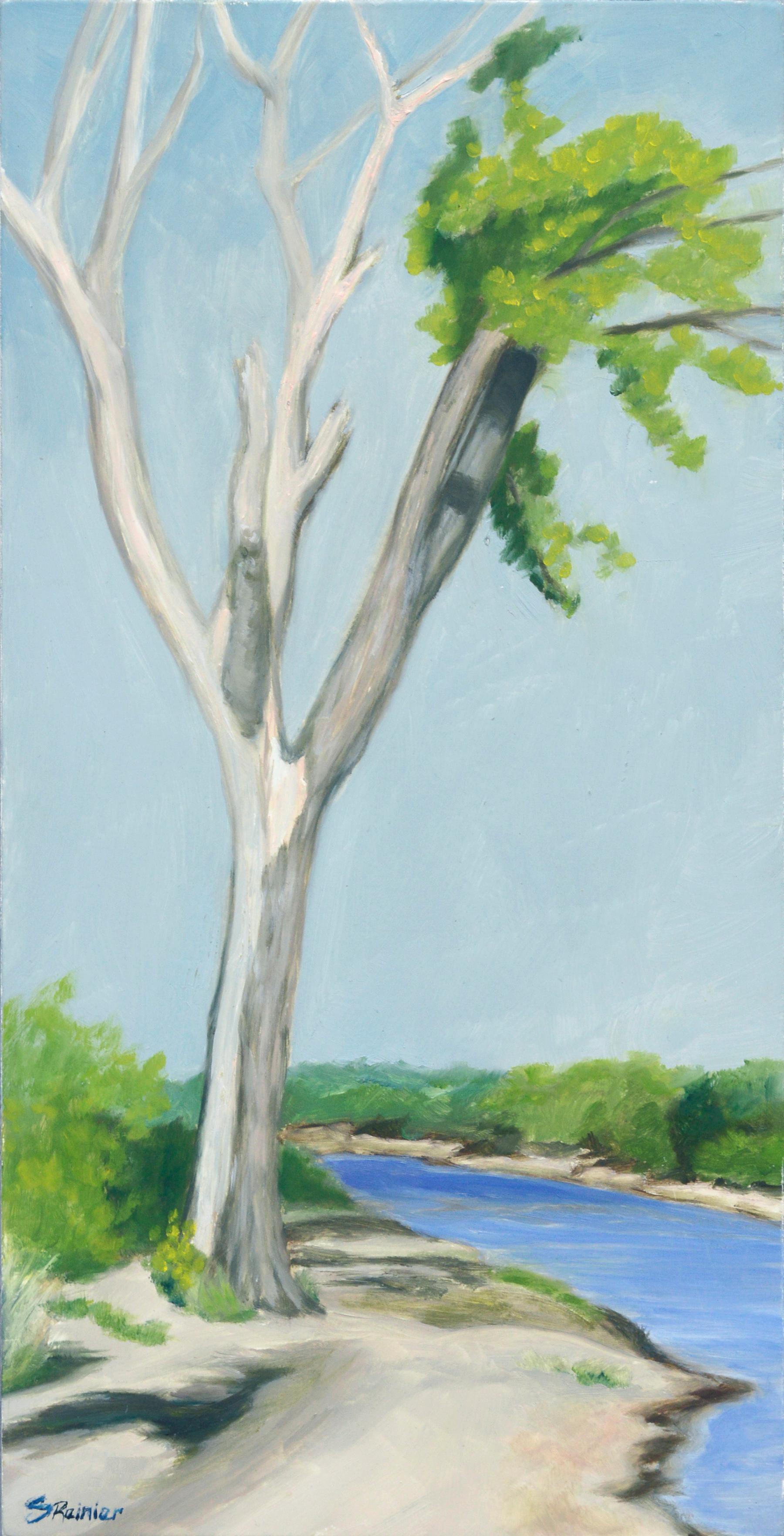 Albero in riva al fiume - Paesaggio a olio su masonite