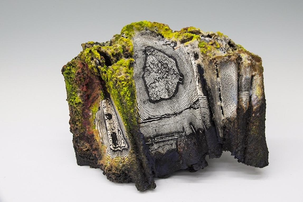 Abstract Sculpture Susan Rostow - Livre d'un artiste sculpteur unique intitulé « Nut Island »