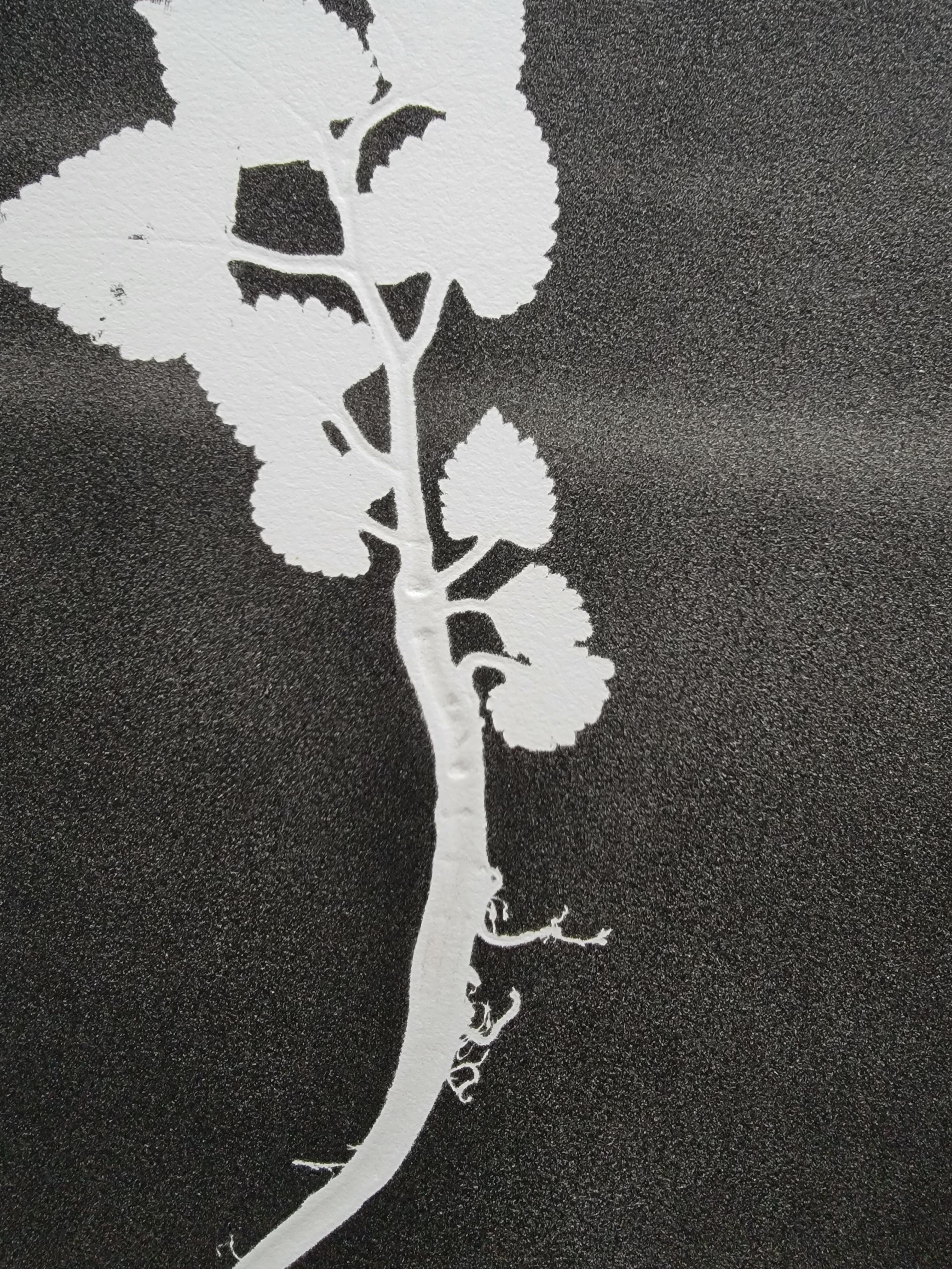 Botanical series - monoprints - Contemporary Print by Susan Rowland
