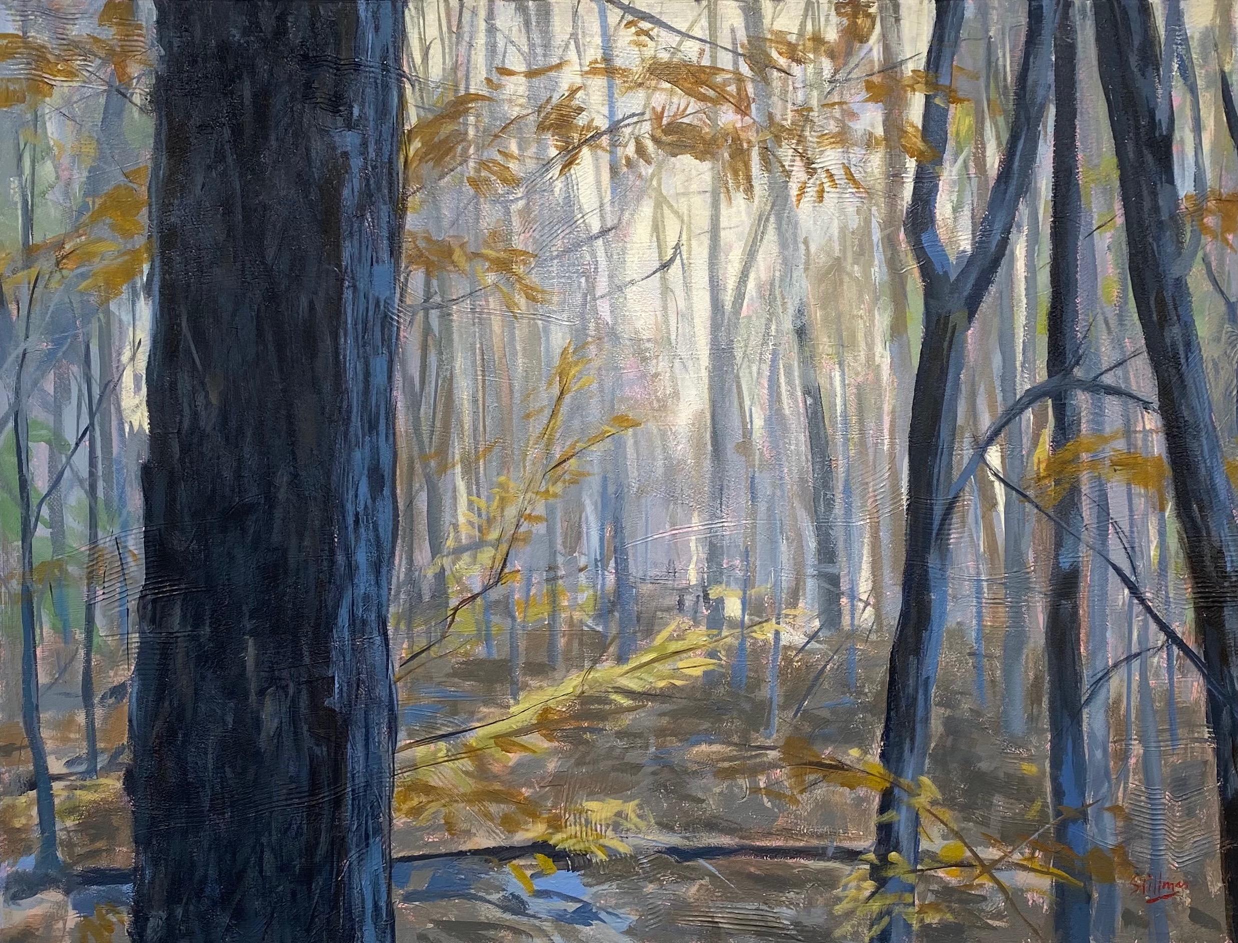 Susan Stillman Landscape Painting - Entry