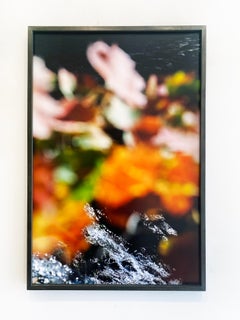 Abstract Nature Photograph by camera artist Susan Wides '10.11.16_11:12:40'