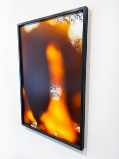 Abstract Nature Photograph by camera artist Susan Wides '10.15.19_3:14:16'