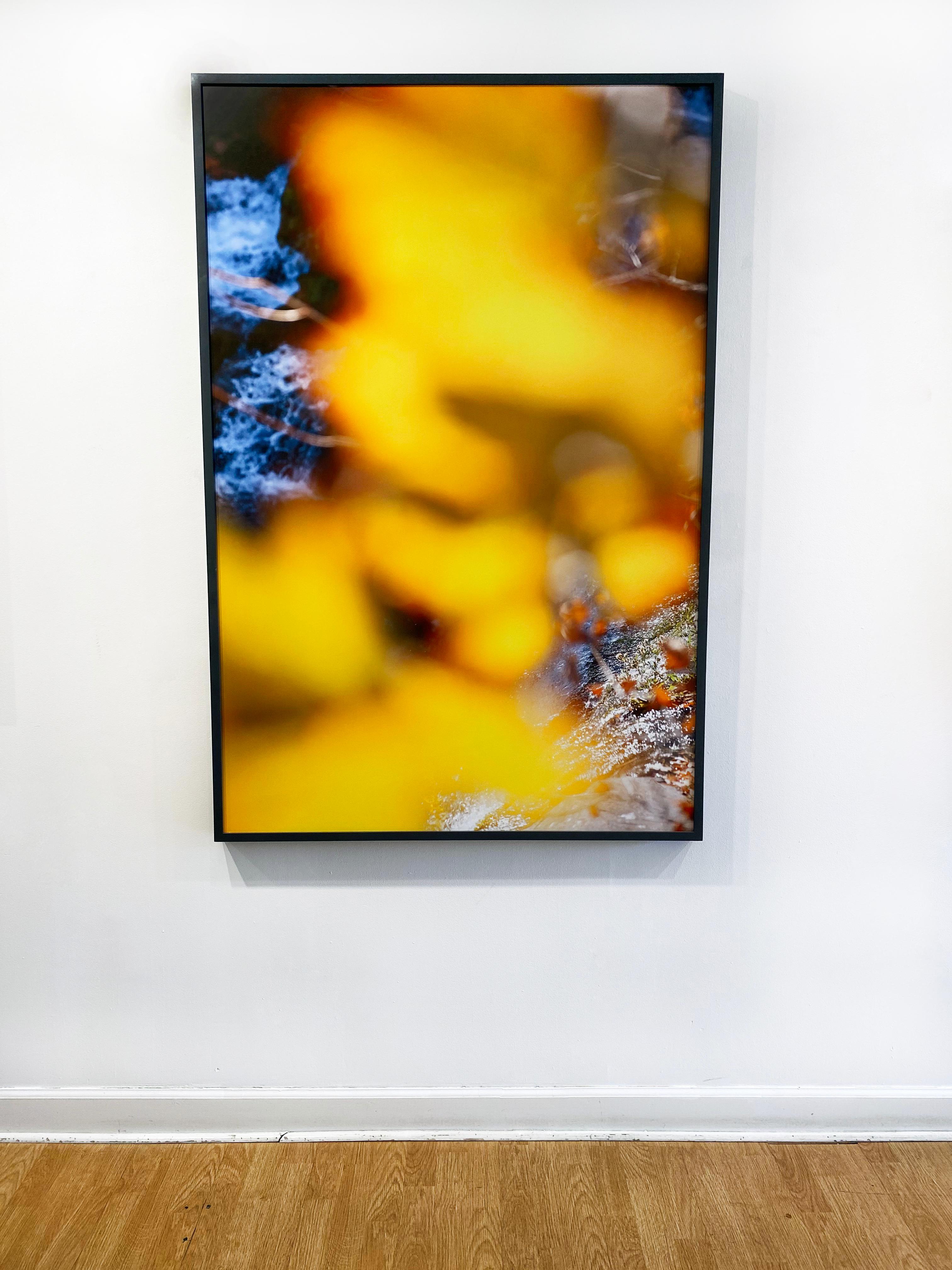Abstract Nature Photograph by camera artist Susan Wides '10.27.14_12:43:47' For Sale 3