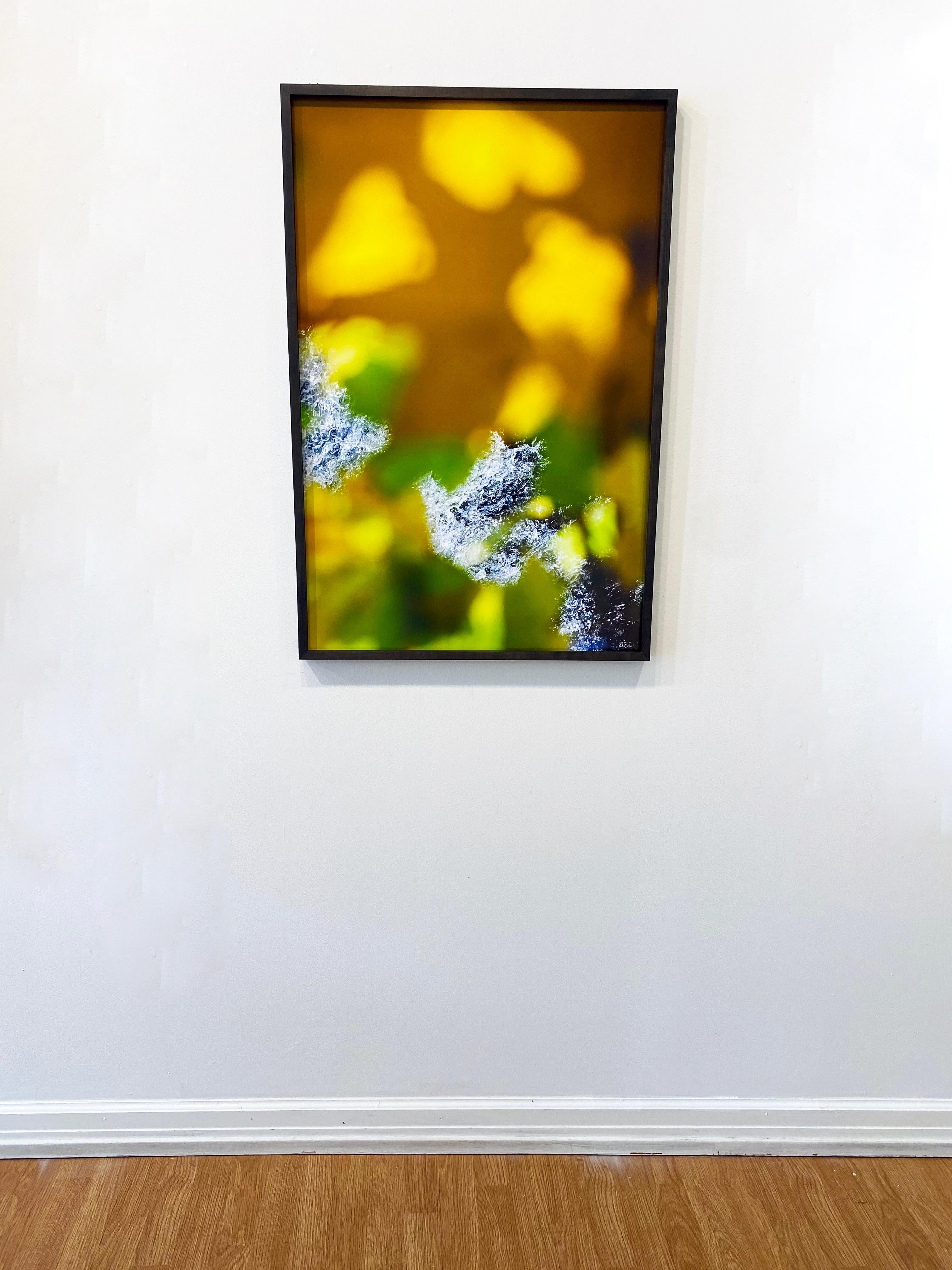 Abstract Nature Photograph by camera artist Susan Wides '11.2.19_2:17:32' For Sale 3