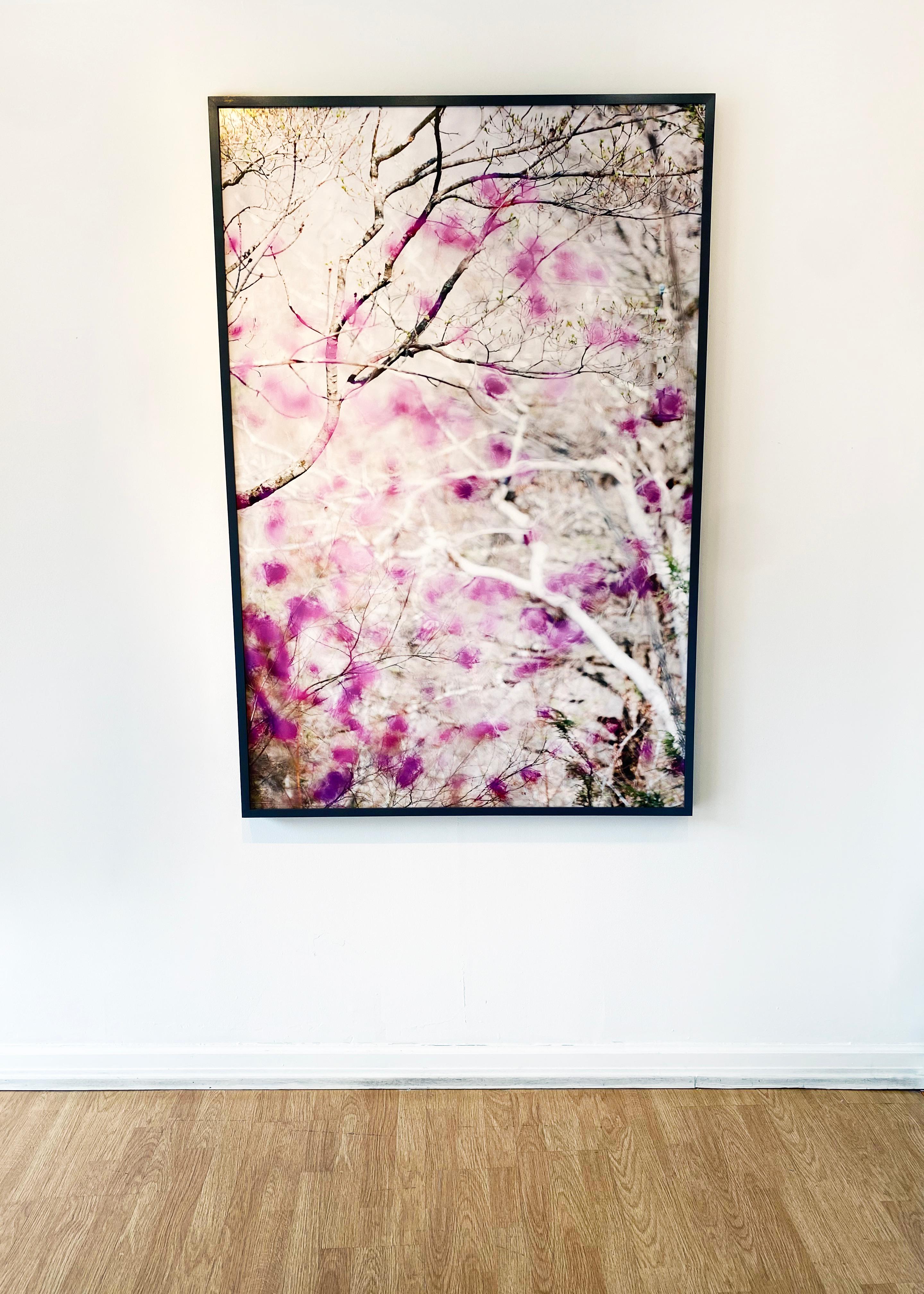 Fotografía abstracta de naturaleza de la artista con cámara Susan Wides  '5.4.15_3:50:51' en venta 3