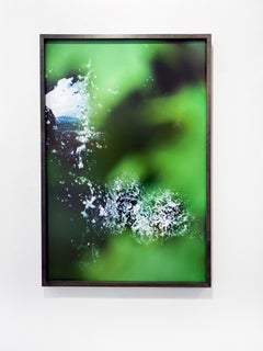 Abstract Nature Photograph by camera artist Susan Wides '8.8.16_1:34:49'