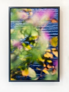 Photographie abstraite de la Nature par l'artiste Susan Wides '9.11.15_3:20:17'.