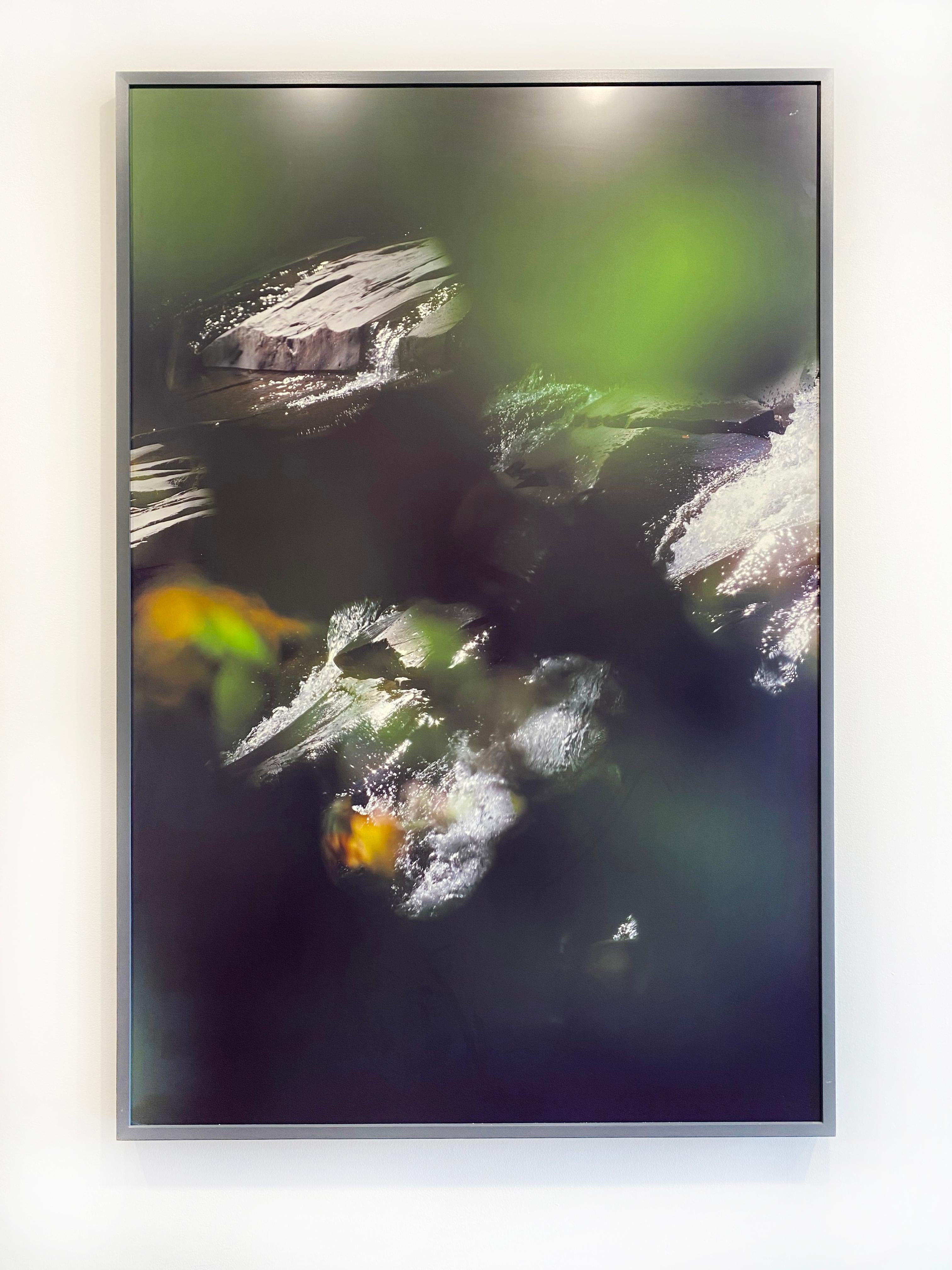 '9.20.15_1:53:09' 2017 by Susan Wides. Dye sublimation aluminum, Ed. of 5, 60 x 40 in. / Frame: 60.75 x 41 in. This color photograph features an abstracted view of water and leaves in a dark grey frame. Using state-of-the-art technology, the dye