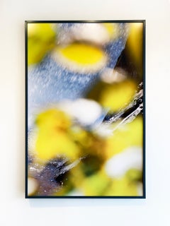 Abstract Nature Photograph by camera artist Susan Wides '9.2.15_2:38:42'