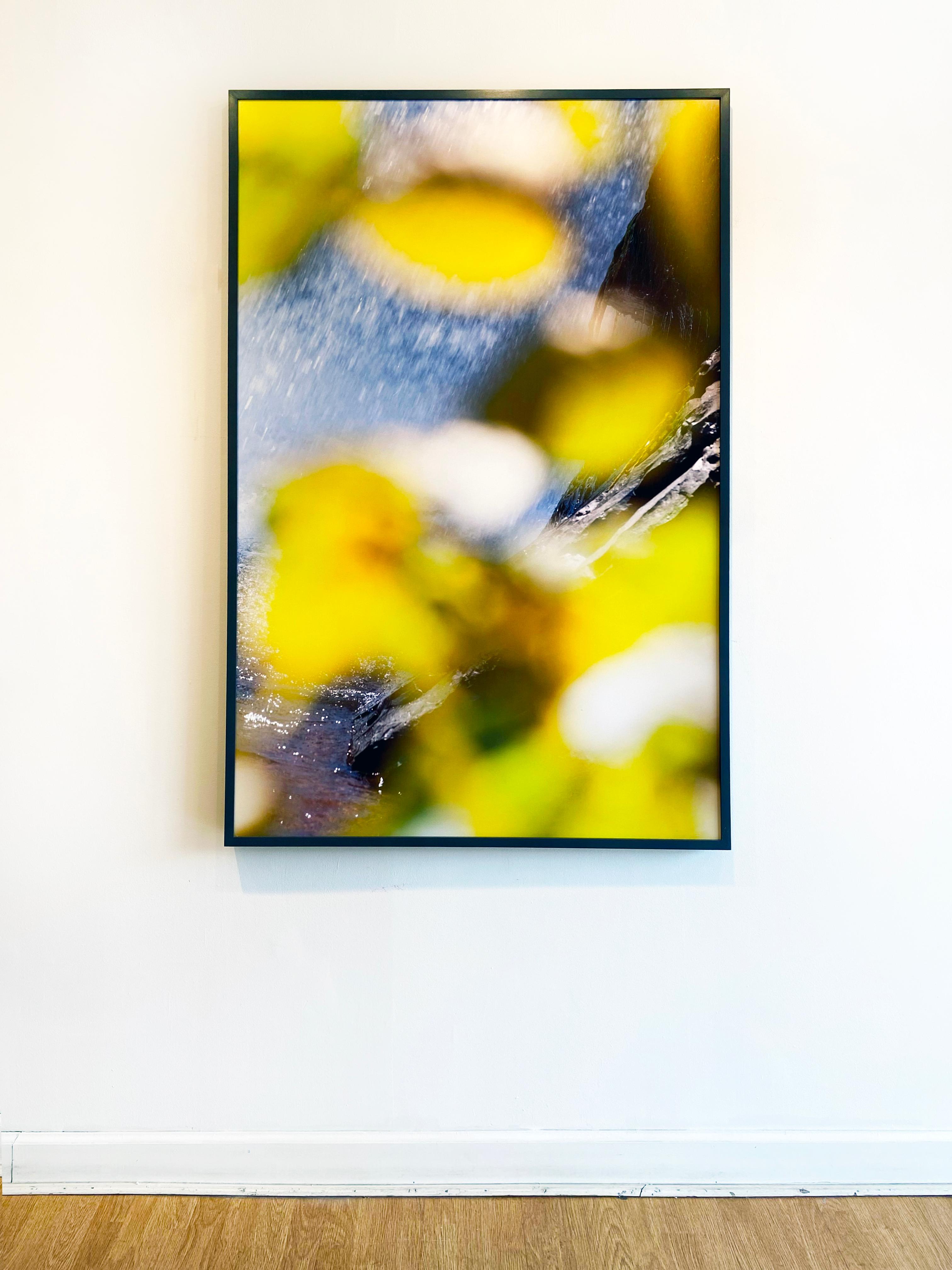 '9.2.15_2.38.42' 2017 by Susan Wides. Dye sublimation aluminum, Ed. of 5, 60 x 40 in. / Frame: 60.75 x 41 in. This color photograph features an abstracted view of water and leaves in a dark grey frame. Using state-of-the-art technology, the dye