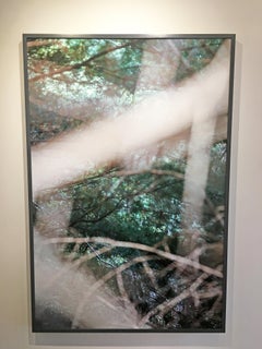 Abstract Nature Photograph by camera artist Susan Wides '8.31.15_4:45:54'