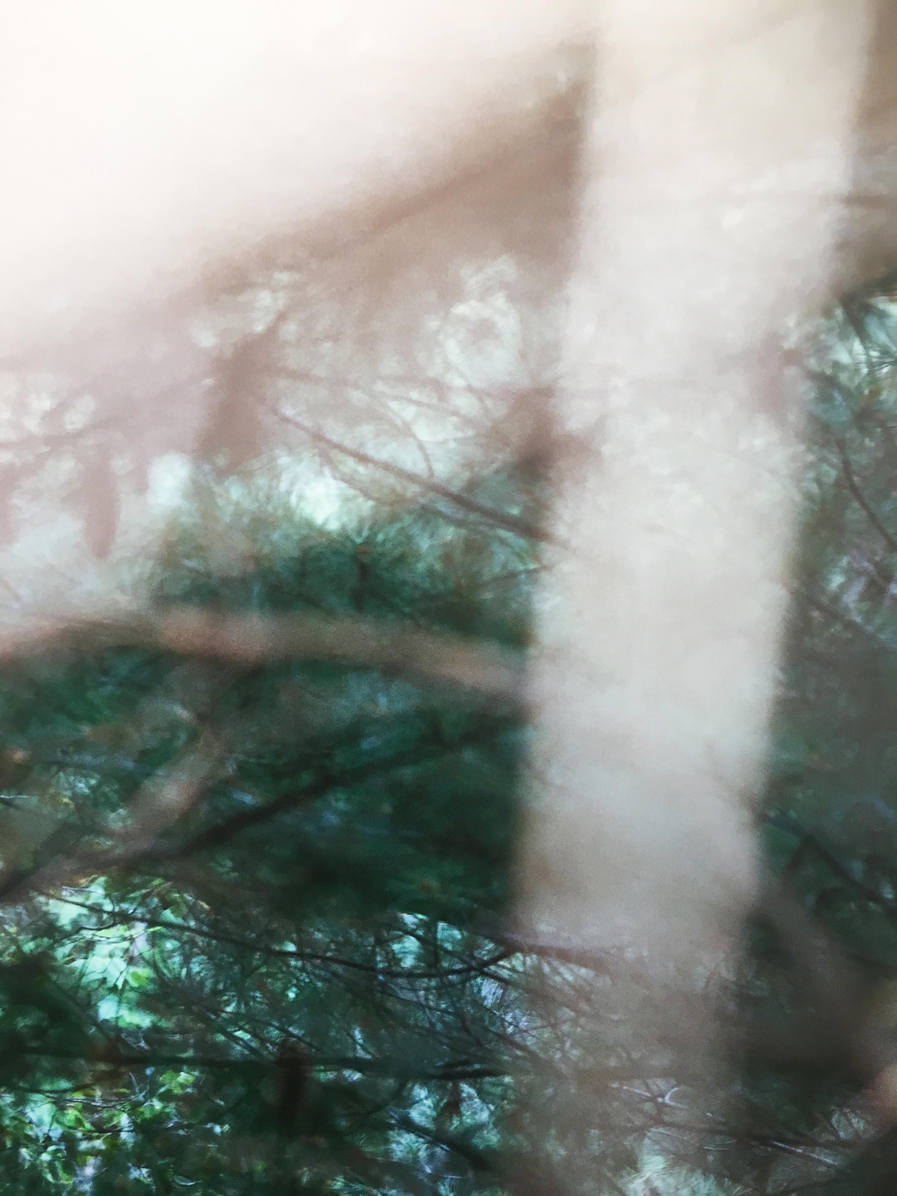 Fotografía abstracta de naturaleza de la artista con cámara Susan Wides '8.31.15_4:45:54' en venta 5