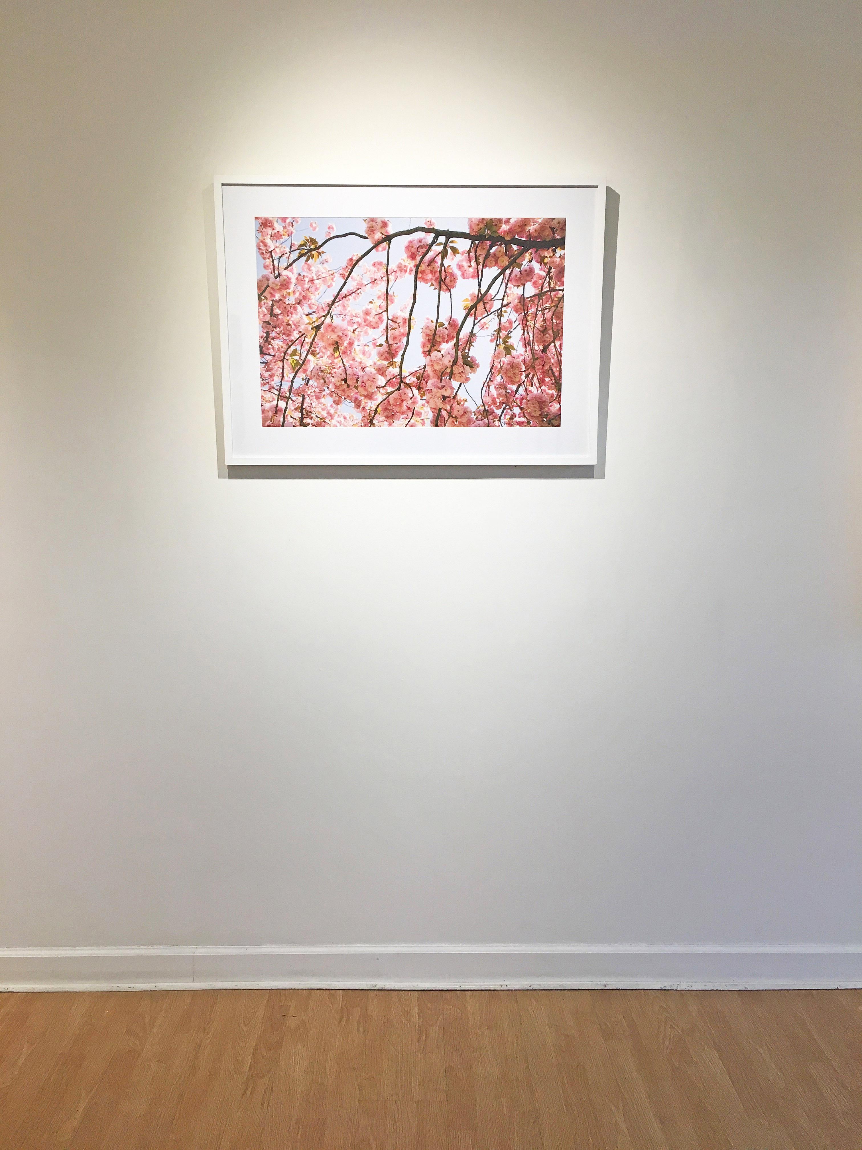 Photographie de nature abstraite de Susan Wides, « Cherry Blossom 2 » en vente 3