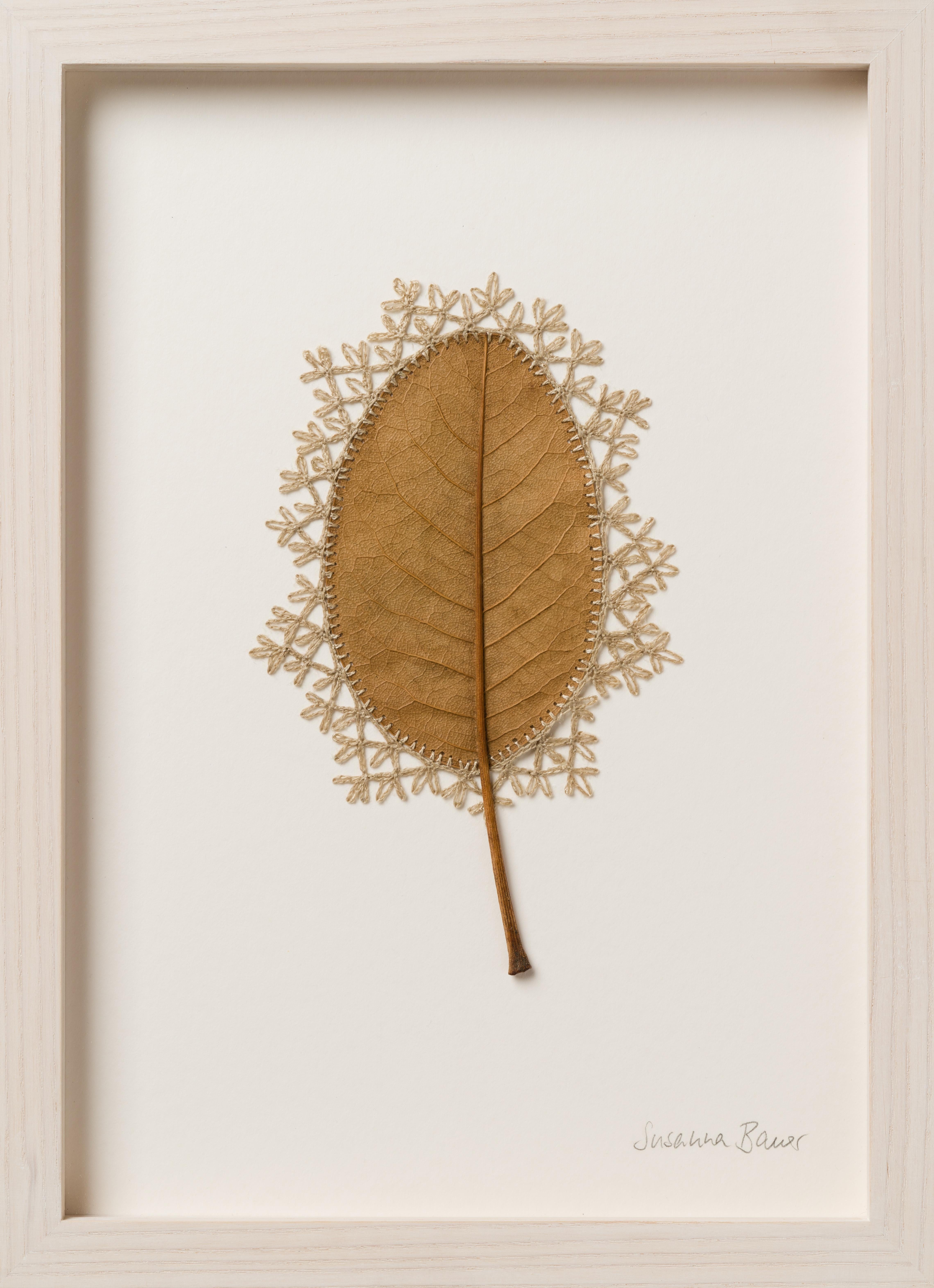 Adornment XVI -embroidery flora dried magnolia leaf on paper - Mixed Media Art by Susanna Bauer