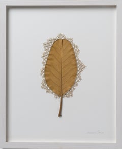 Adornment XVIII - contemporary crochet dried leaf - nature art framed