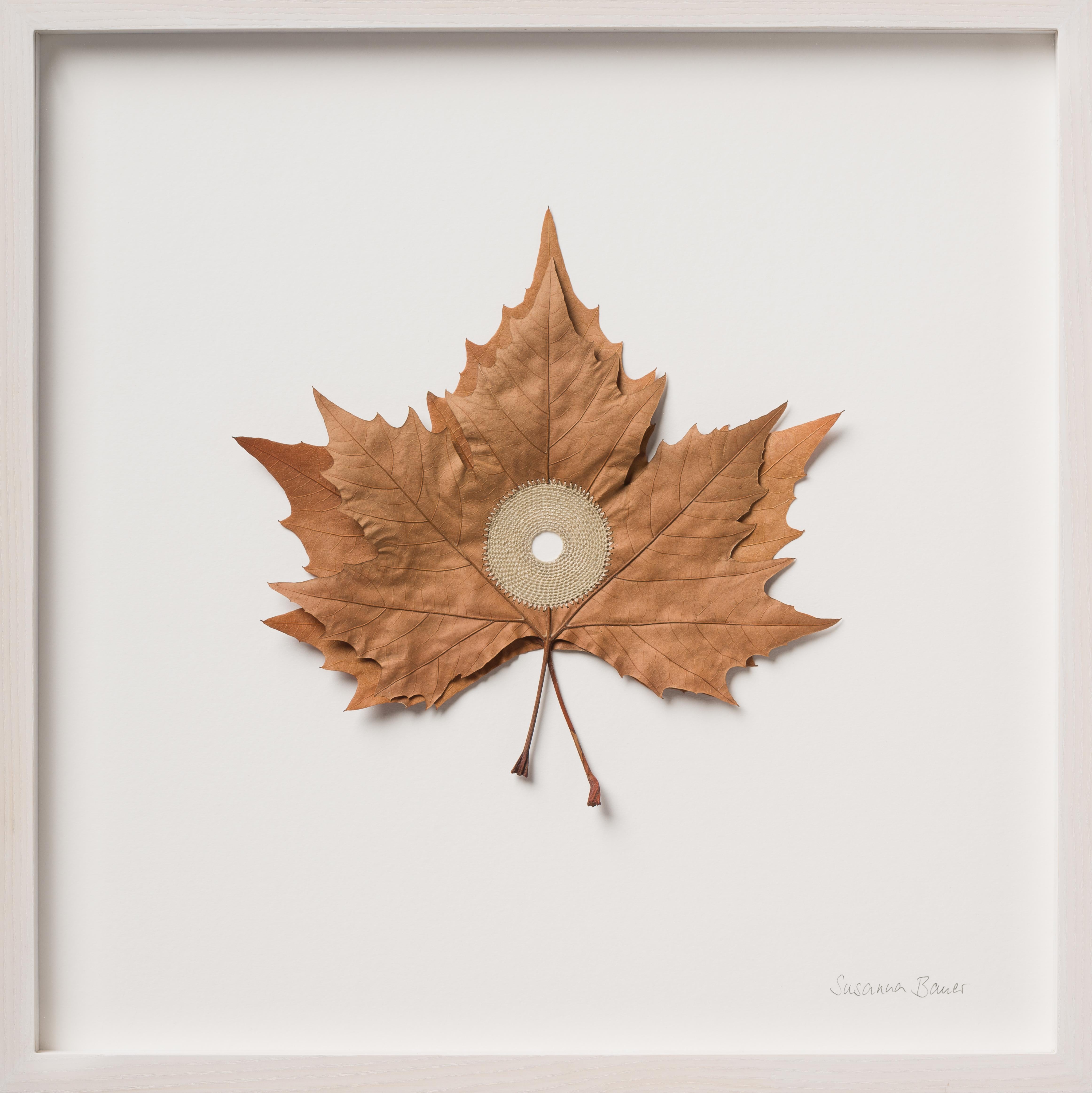 Centered IX - intricate embroidery dried platanus leaves on paper nature art - Mixed Media Art by Susanna Bauer