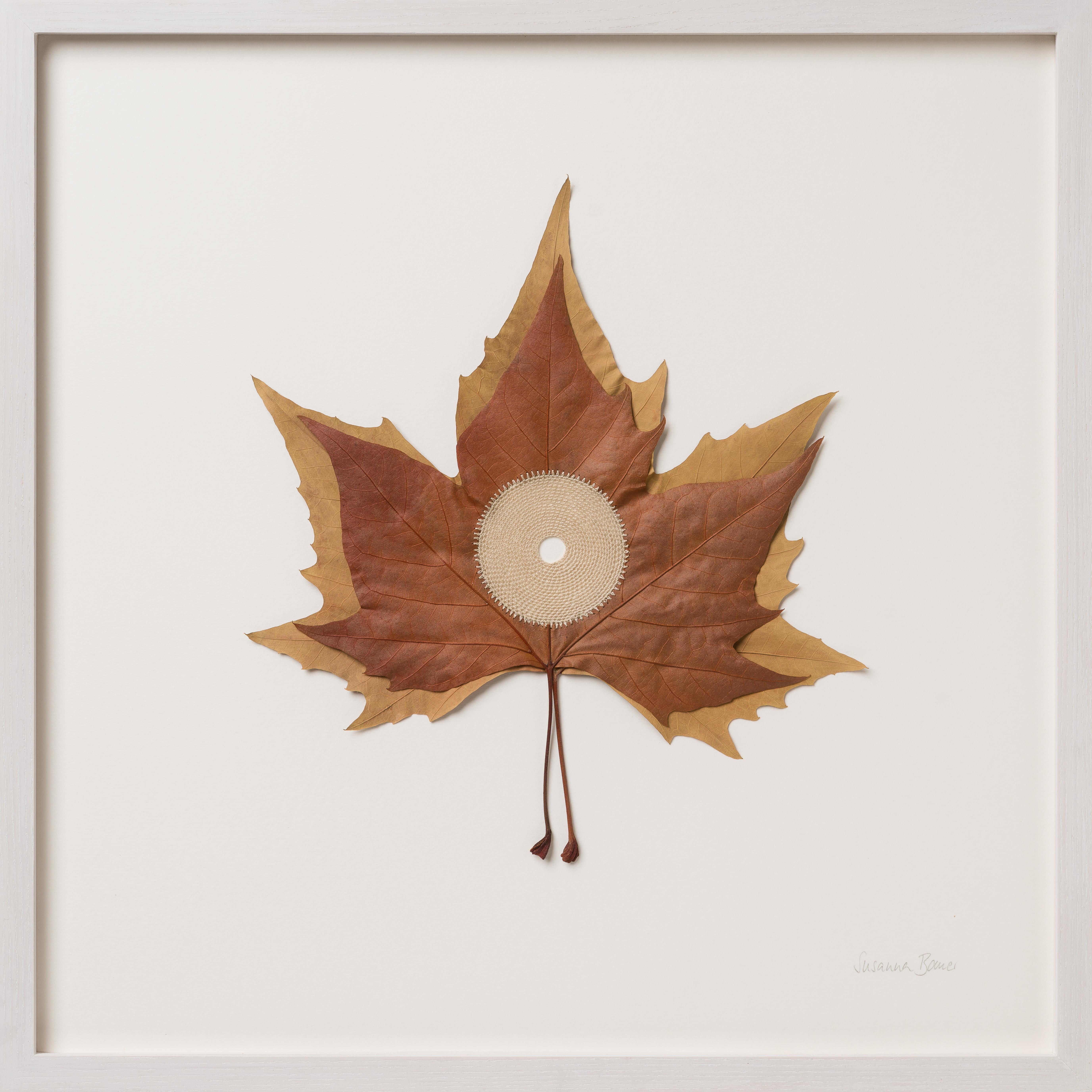 Contemporary XIV - crochet contemporain feuilles de platane séchées nature art encadré