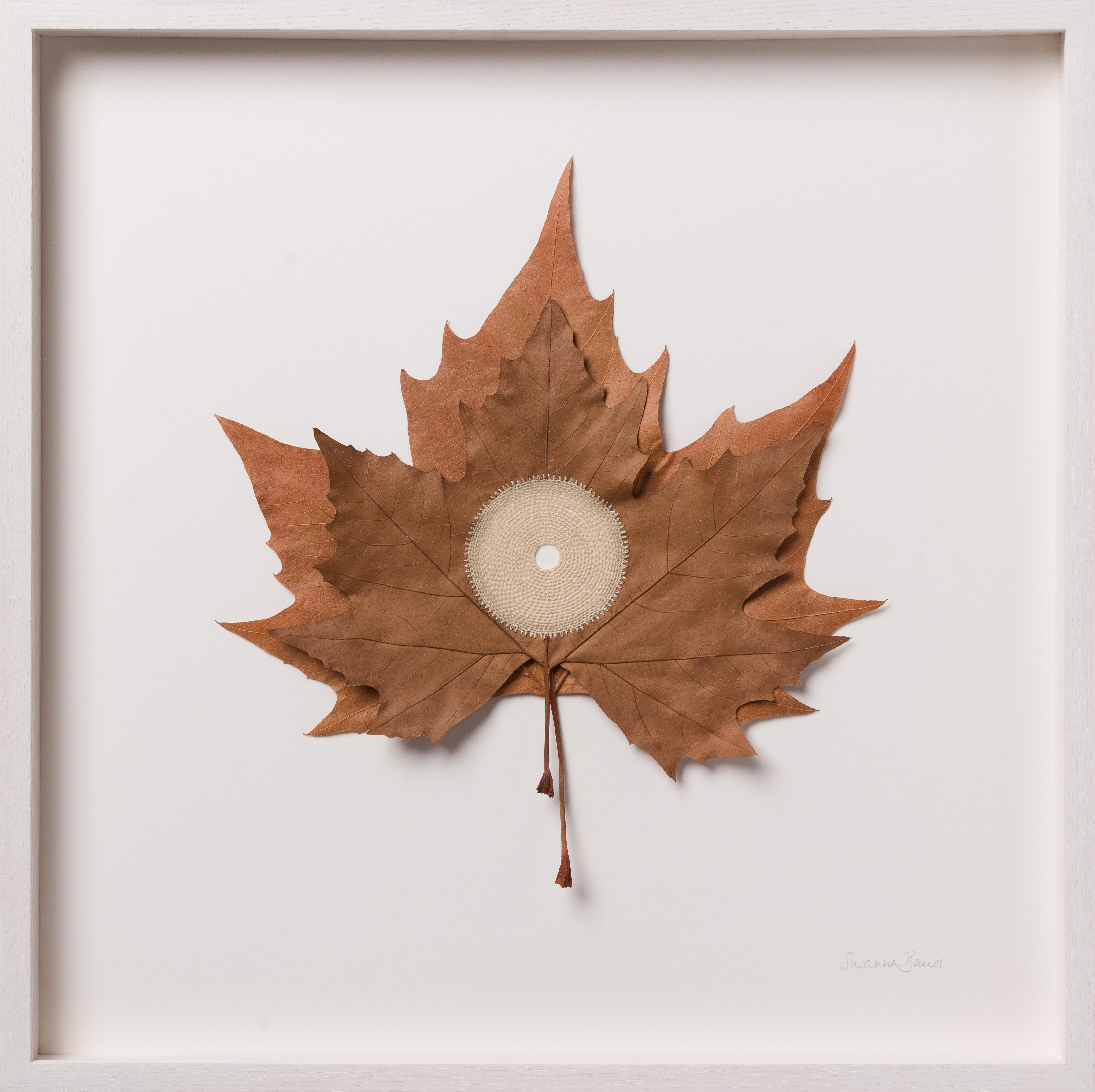 Centered XVII  - contemporary crochet dried plane tree leaves nature art framed - Mixed Media Art by Susanna Bauer