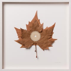 Centered XVII - contemporary crochet dried plane tree leaves nature art framed