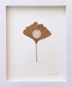 Cercle VII - Intricate contemporary crochet dried ginkgo leaf nature art framed