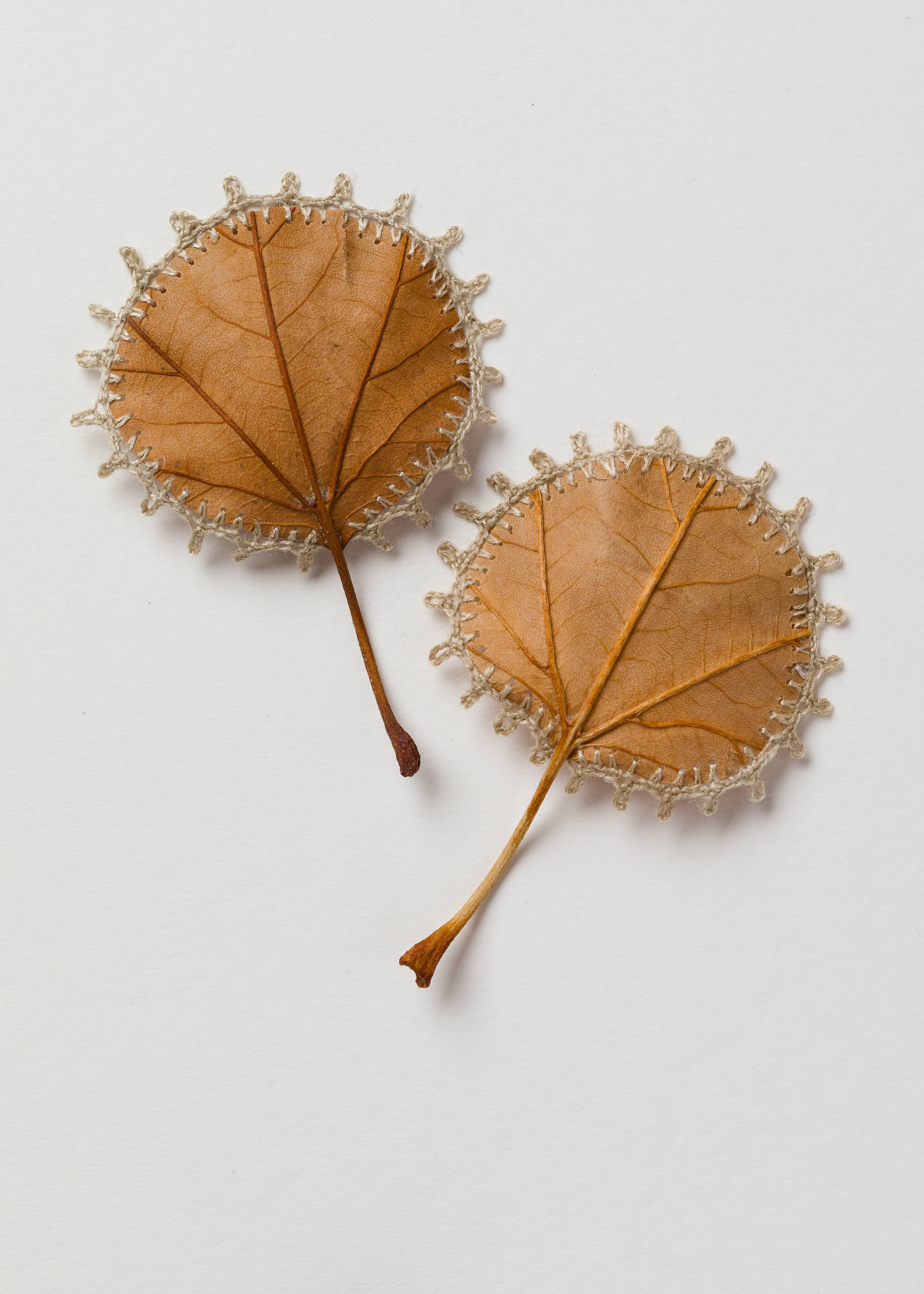 Collection- nature inspired embroidered real leaves on paper - Art by Susanna Bauer