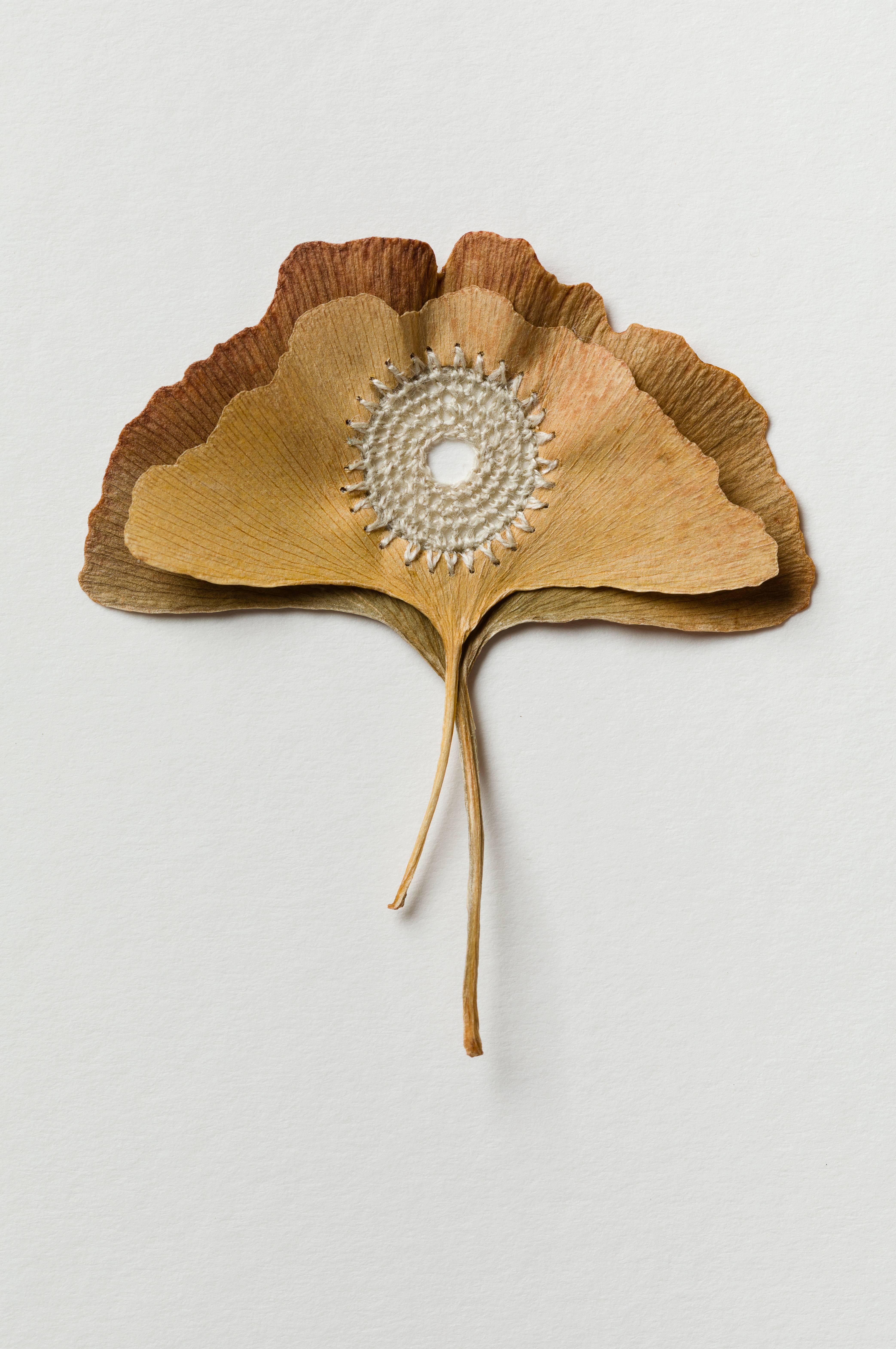 Collection- nature inspired embroidered real leaves on paper - Contemporary Art by Susanna Bauer