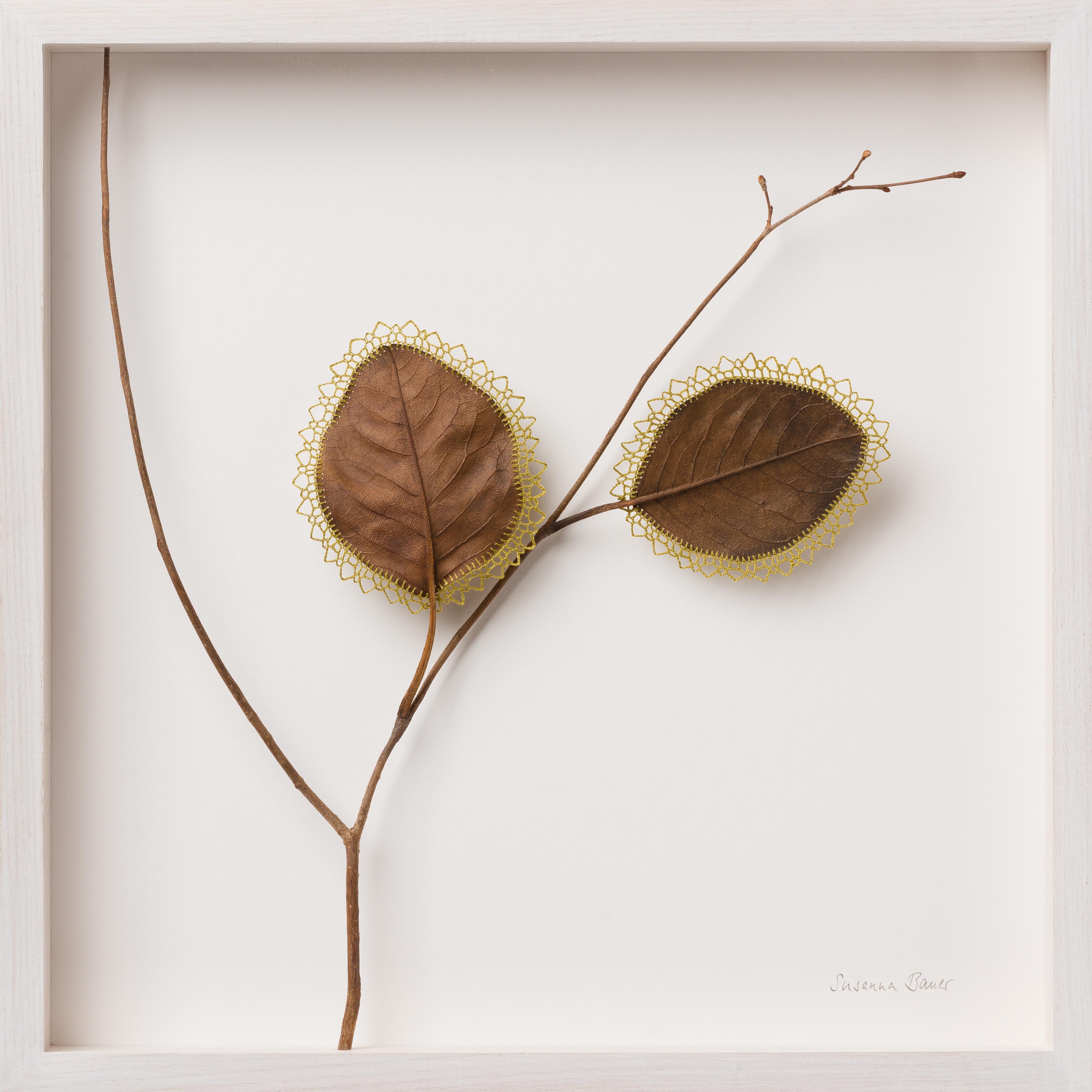 Dawn  - Intricate contemporary crochet leaf nature art - Mixed Media Art by Susanna Bauer