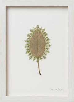 Green -Intricate contemporary crochet thread on magnolia leaf nature art