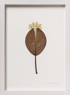 Into the Light - contemporary crochet dried magnolia leaf nature art framed