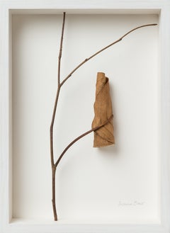 Keep V - intricate embroidery on dried magnolia leaf framed nature art