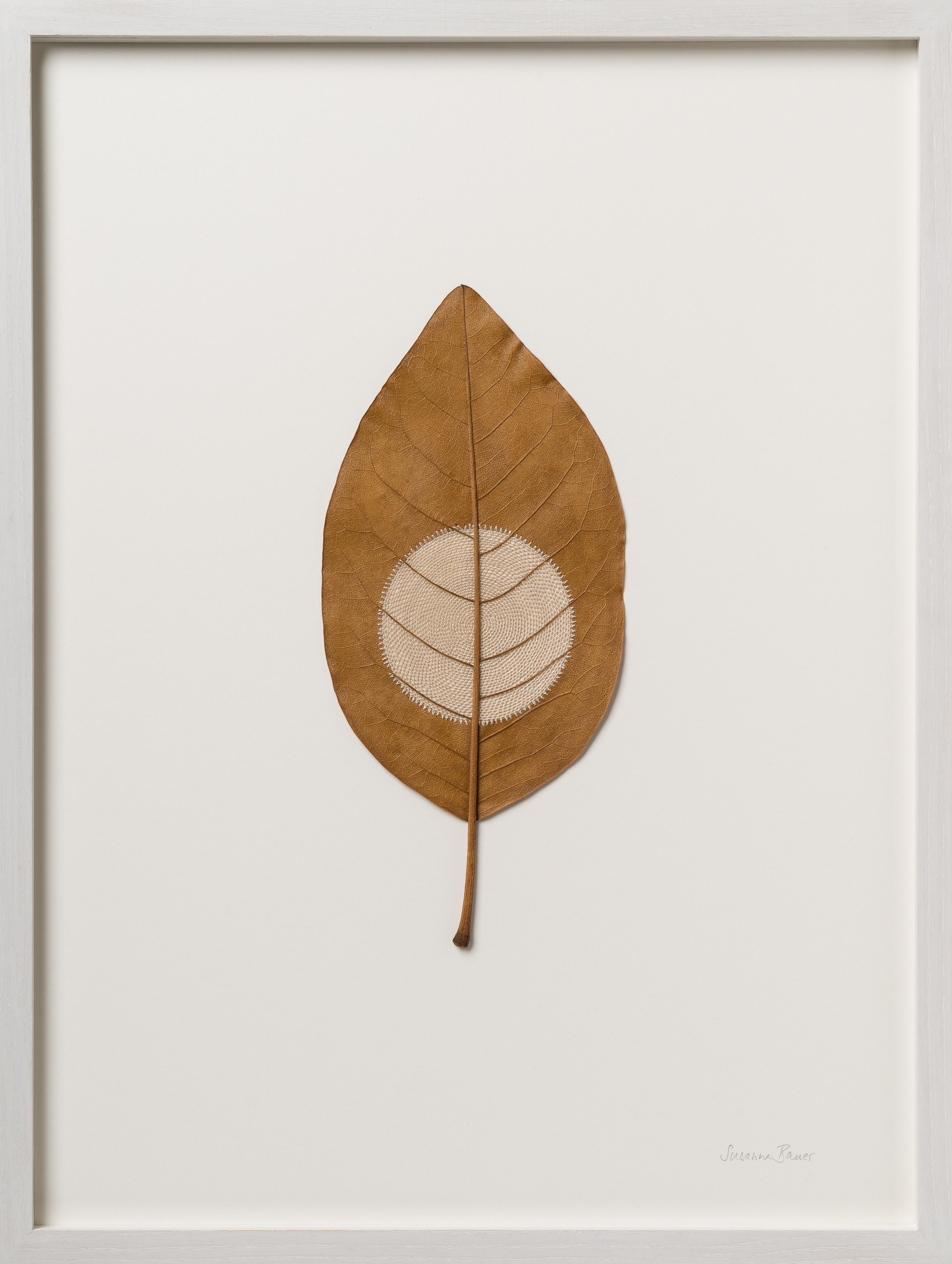 Moon 63 - contemporary crochet dried magnolia leaf nature art framed - Mixed Media Art by Susanna Bauer