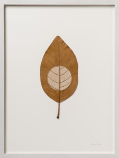 Moon 63 - contemporary crochet dried magnolia leaf nature art framed