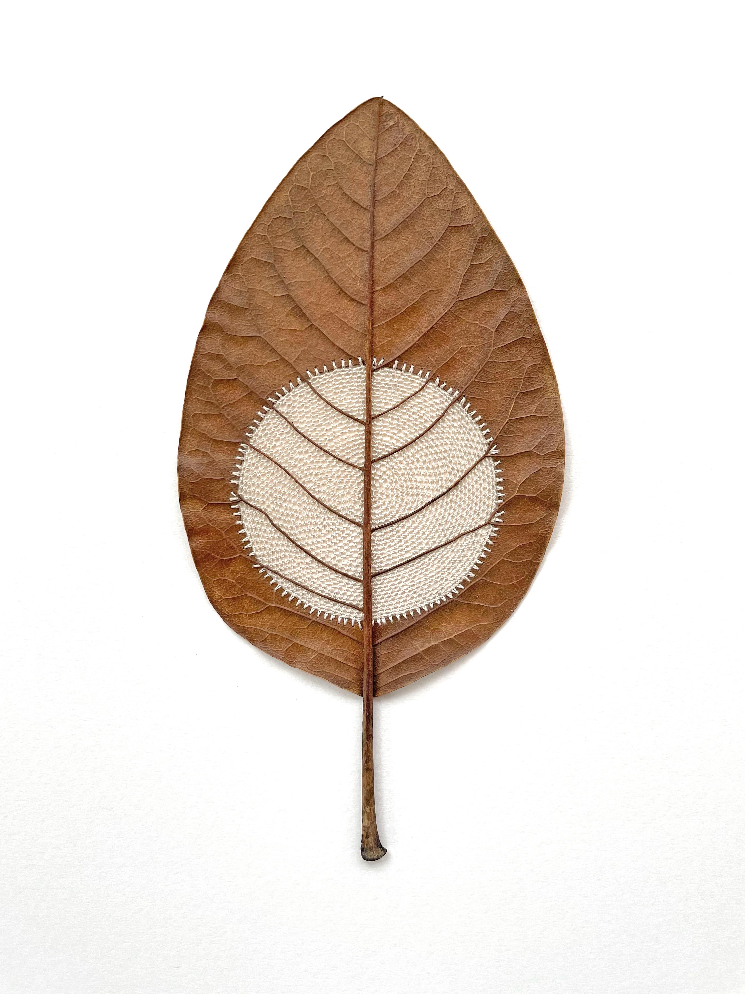 Moon 65 - contemporary crochet dried magnolia leaf nature art framed - Mixed Media Art by Susanna Bauer