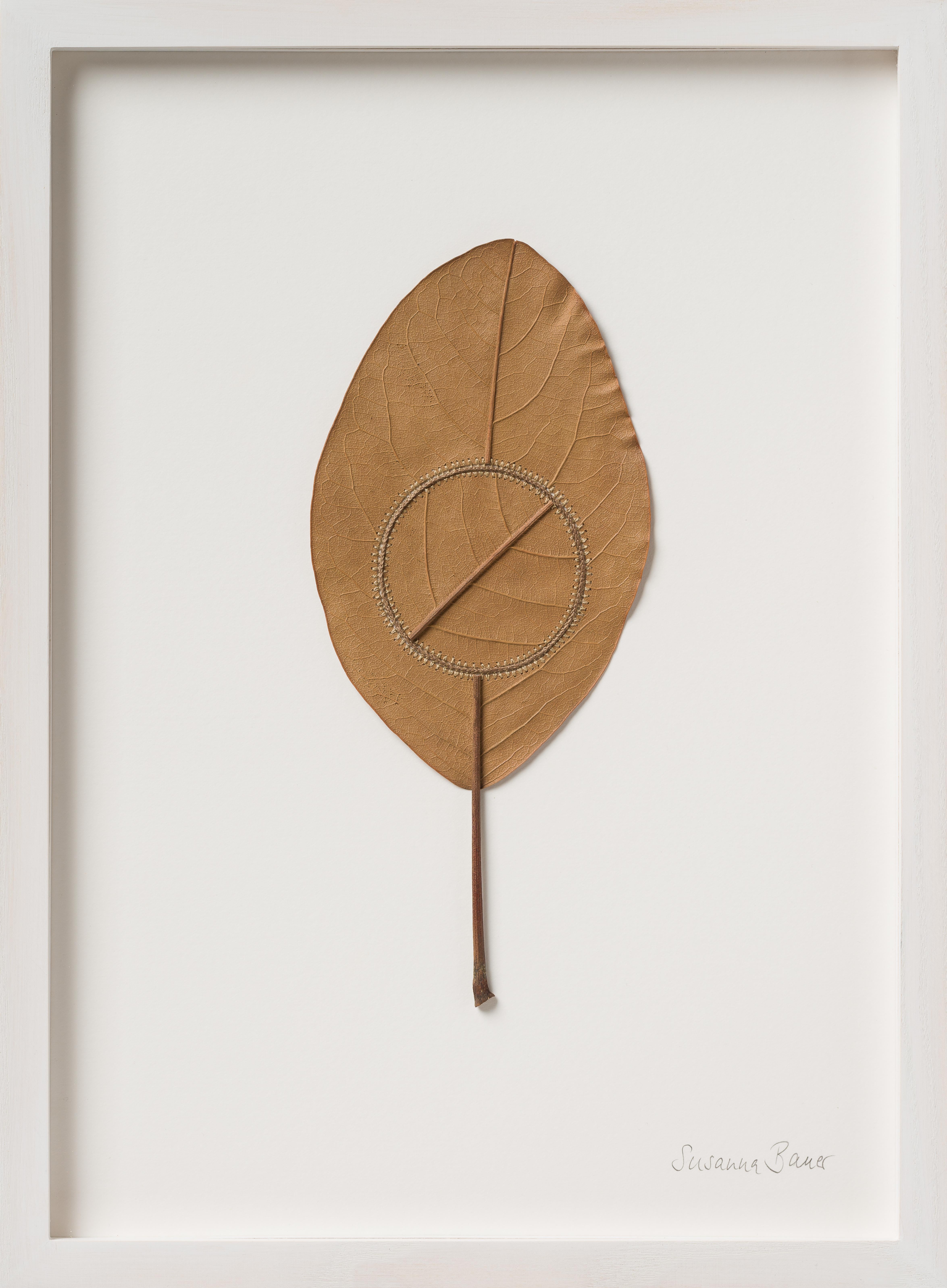 Navigation X - intricate contemporary embroidered leaf nature art - Mixed Media Art by Susanna Bauer
