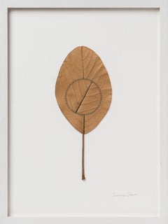 Navigation XIII - intricate embroidery on dried magnolia leaf framed nature art