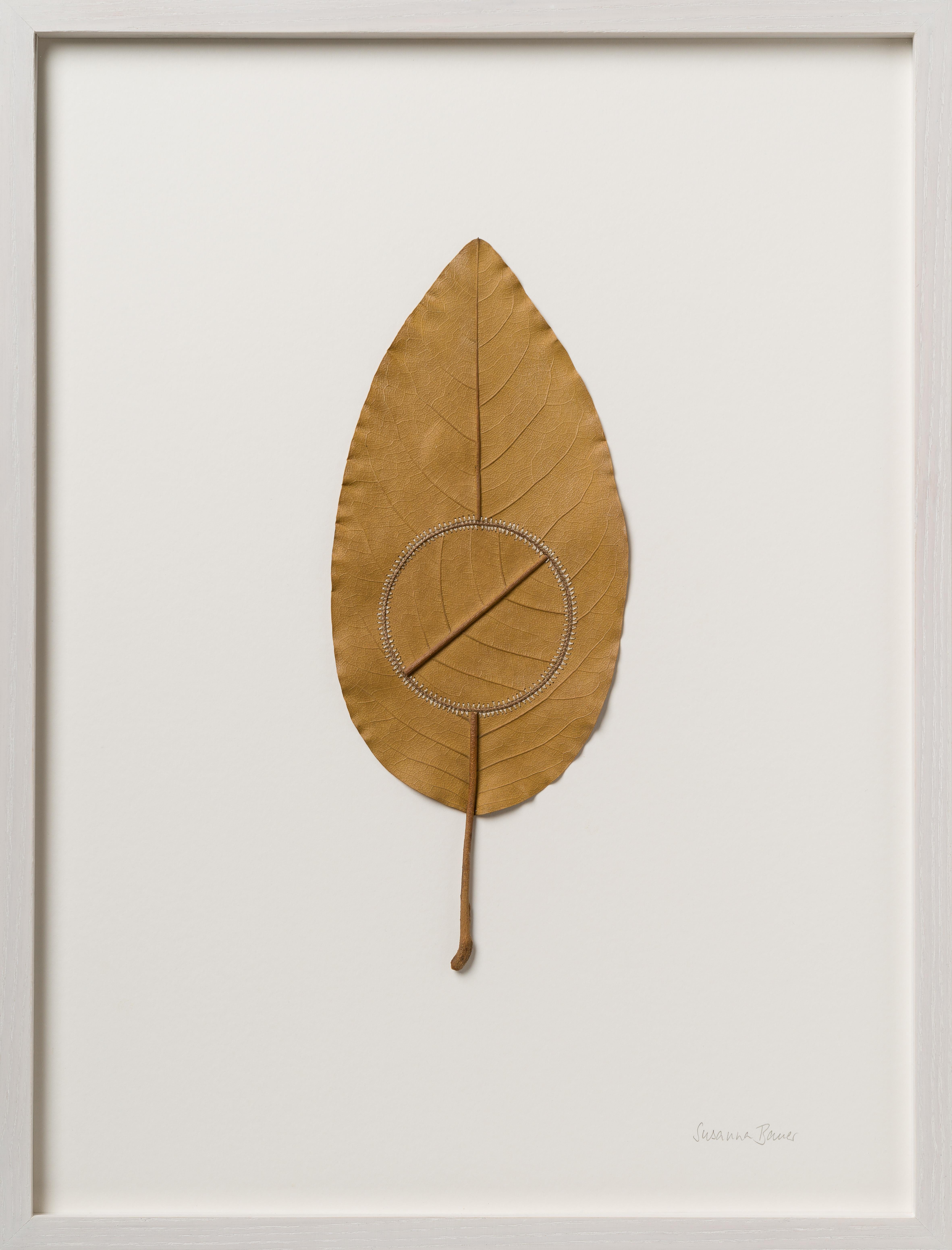 Navigation XV - contemporary crochet dried magnolia leaf nature art framed - Mixed Media Art by Susanna Bauer