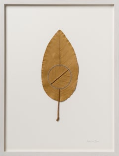 Navigation XV - contemporary crochet dried magnolia leaf nature art framed