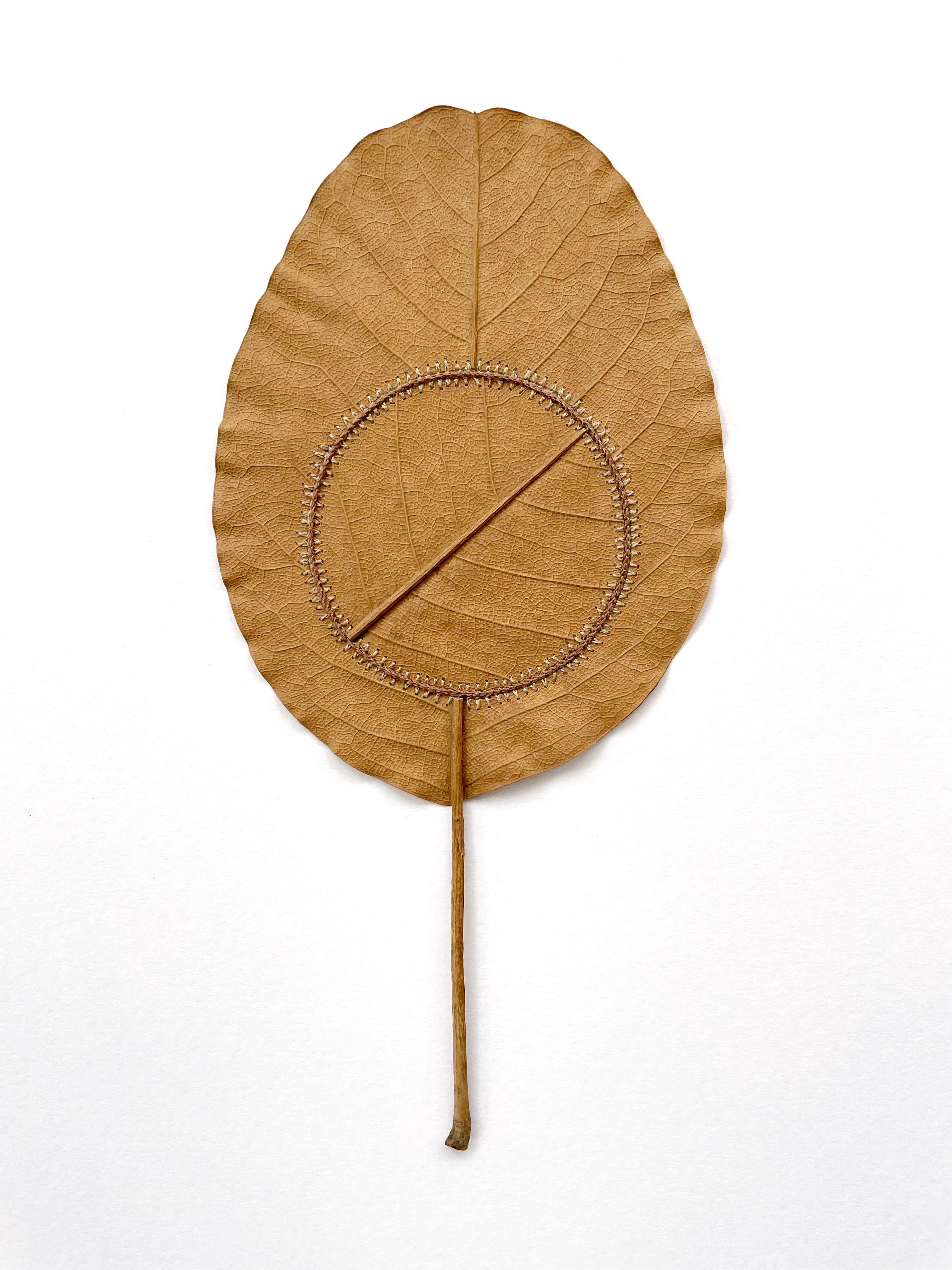 Navigation XVI - contemporary crochet dried magnolia leaf nature art framed - Mixed Media Art by Susanna Bauer
