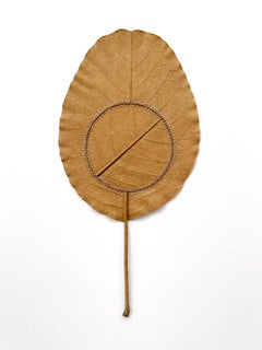 Navigation XVI - contemporary crochet dried magnolia leaf nature art framed