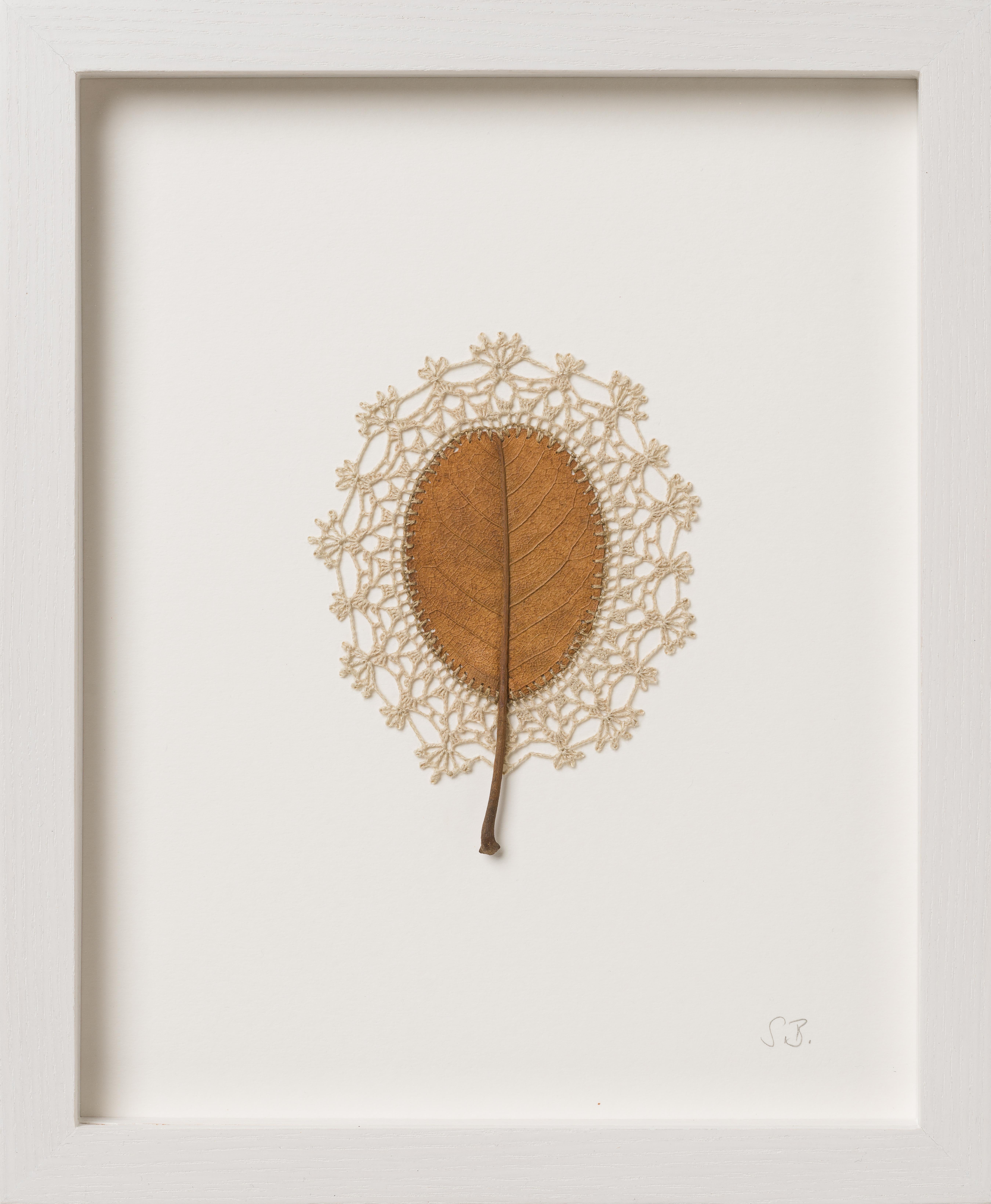 One Day - contemporary crochet dried magnolia leaf nature art framed - Mixed Media Art by Susanna Bauer
